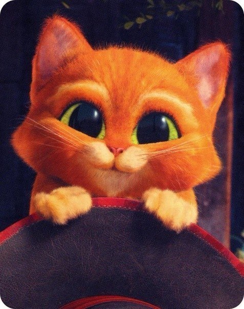 Роман Завьялов | Пермь