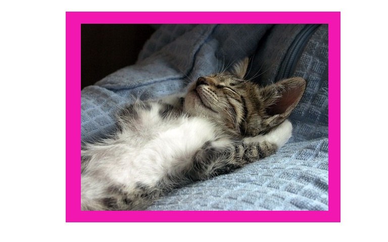 Влад Ням-Ням Трям-трям | Москва