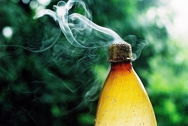 №14, Дёньчег Толочко, Бердск №14, Дёньчег Толочко, Бердск