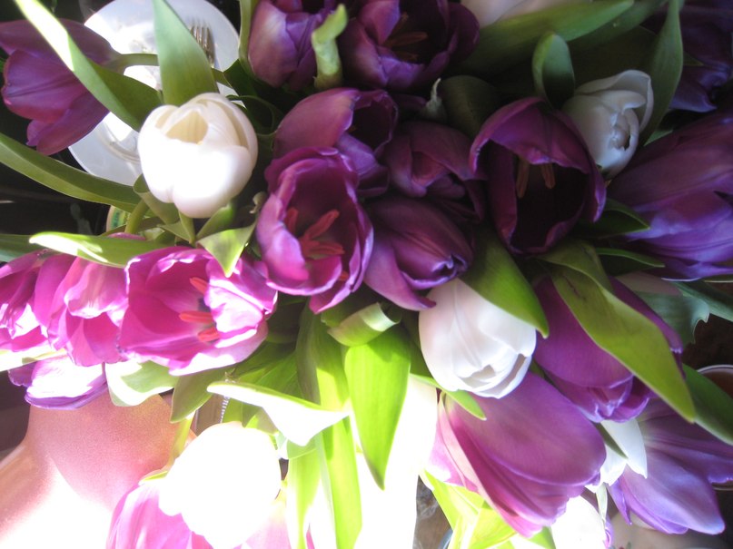 Natalia Osmakova | Санкт-Петербург