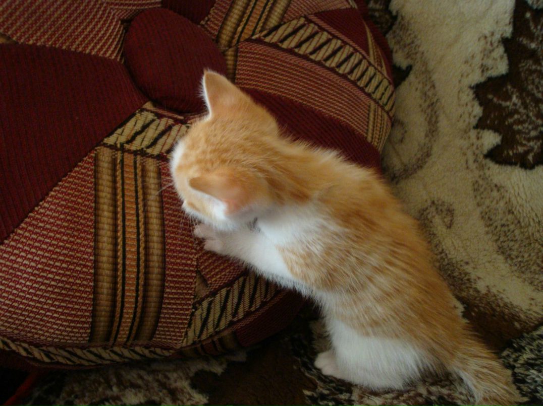 Татьяна Быкова | 