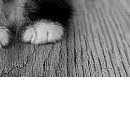 №66, Віталік Токарчук, 32 года №66, Віталік Токарчук, 32 года