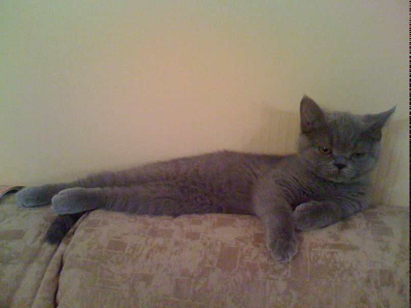 Наталья Полик | Санкт-Петербург