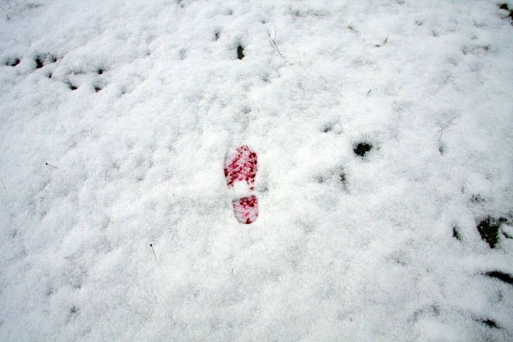 №86, Роман Макаров, Санкт-Петербург №86, Роман Макаров, Санкт-Петербург