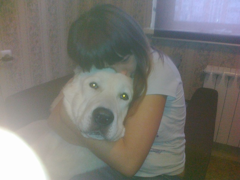 Mustuality Happy | Москва