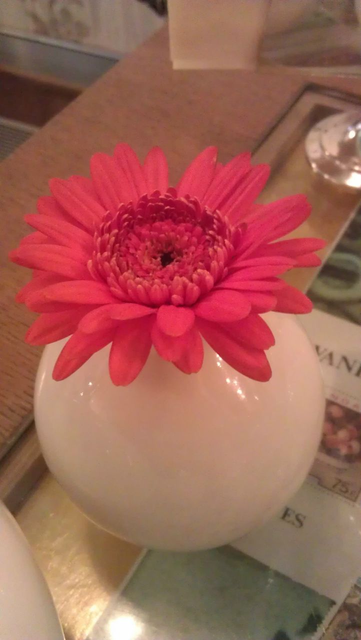 Андрей Мелик-Парсаданян | Фрязино