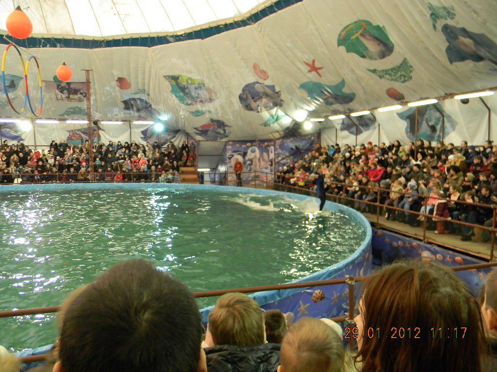 Елена Остапчук | 