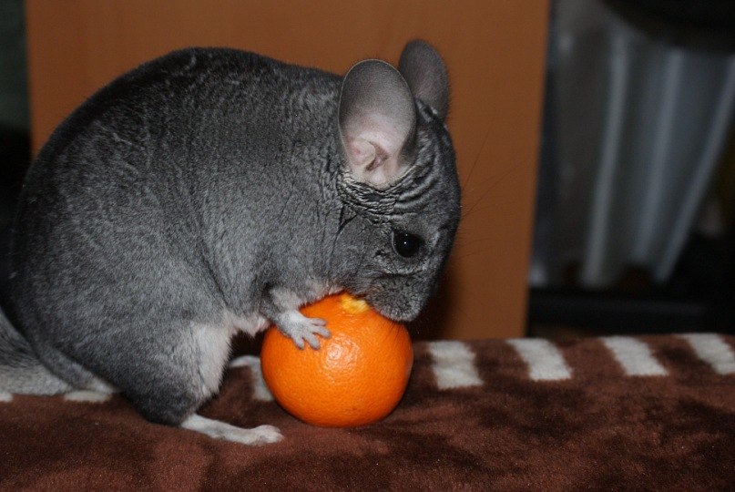 Ma Ri | Норильск