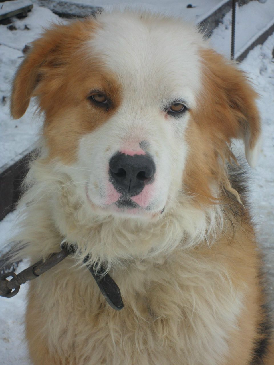 Артур Каракашьян | Новороссийск