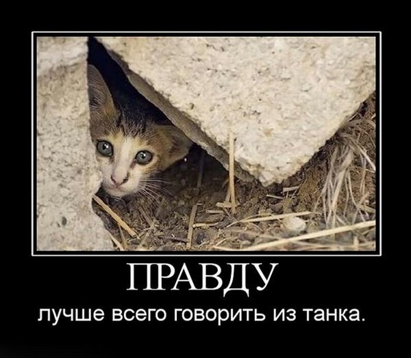 №20, Дмитрий Продиус, 40 лет №20, Дмитрий Продиус, 40 лет