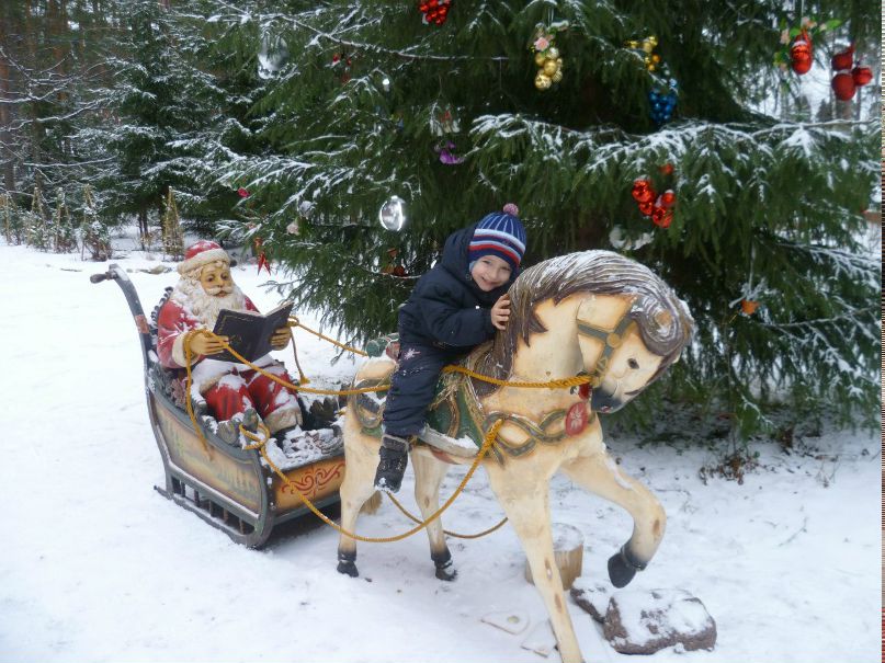 Юлия Мохова-Гарбузова | Санкт-Петербург