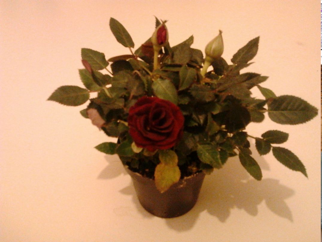 Виталий Гречников | Екатеринбург