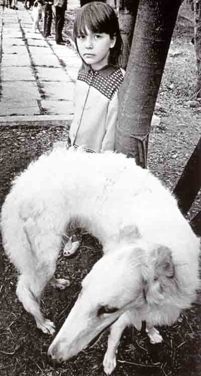 Денис Некрасов | 