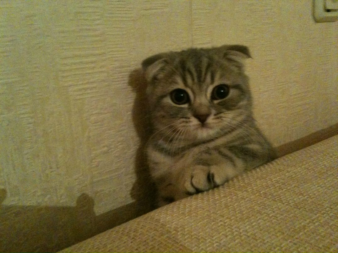 Женек Пьянов | Пушкино