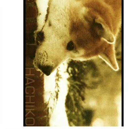 Виктория Кружкова | Калининград