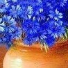 №59, Наталья Аджигитова, 58 лет, Астана №59, Наталья Аджигитова, 58 лет, Астана