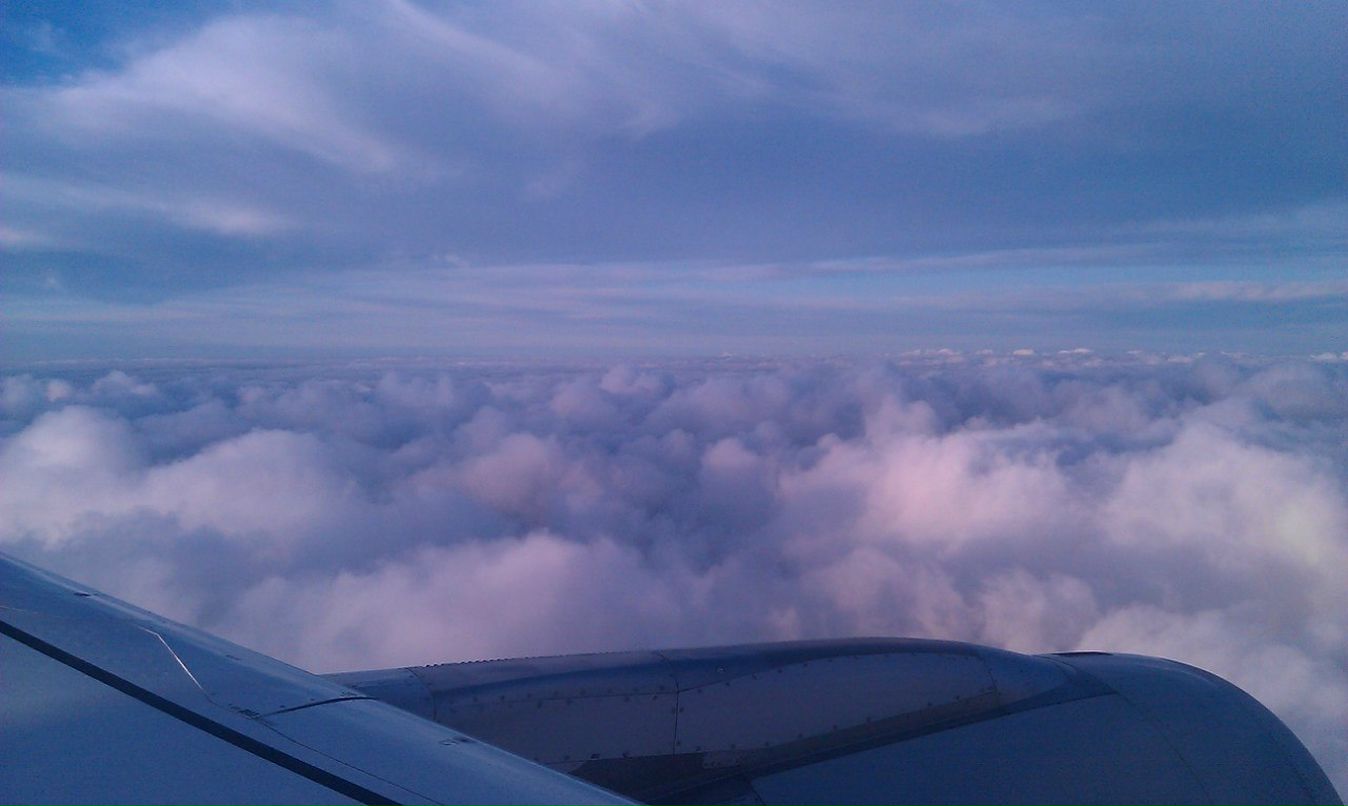 Костя Бычковский | Санкт-Петербург