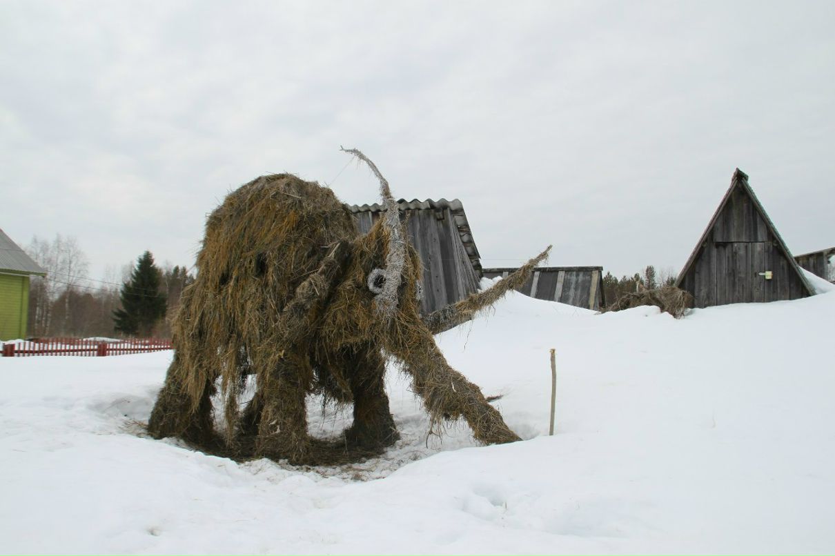 Михаил Семенов | Архангельск