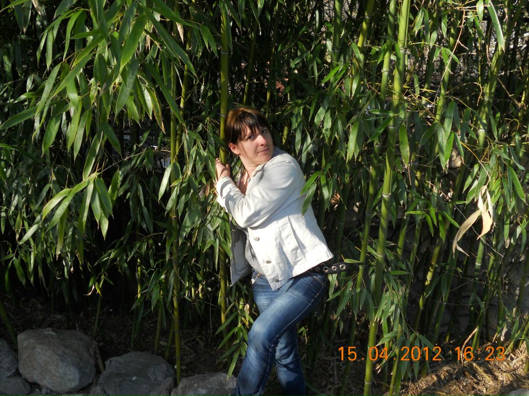 Наталья Гула | Ялта