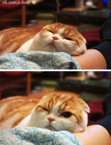 Stas Rebitckii | Москва