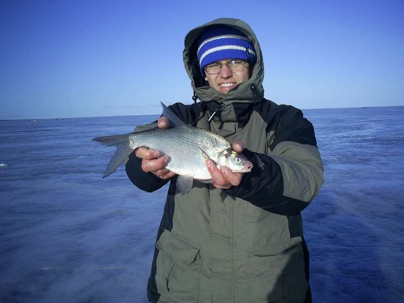 Евгений Ходьков zhenik | Витебск