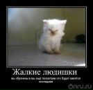 №33 Ника Олива 13.04: профиль, фото, статус - ВКонтакте