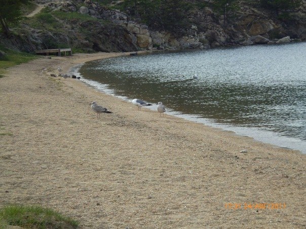 Леся Sh ღ ❤ ツ❤ ღ | Абакан