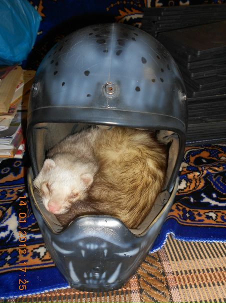 №148, Мария Панина, Донецк №148, Мария Панина, Донецк