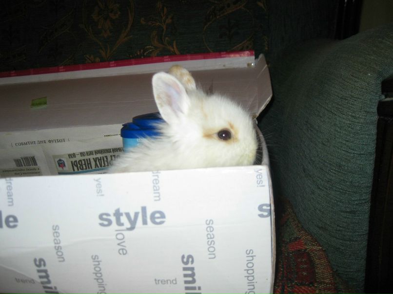 Александр Салин | Москва