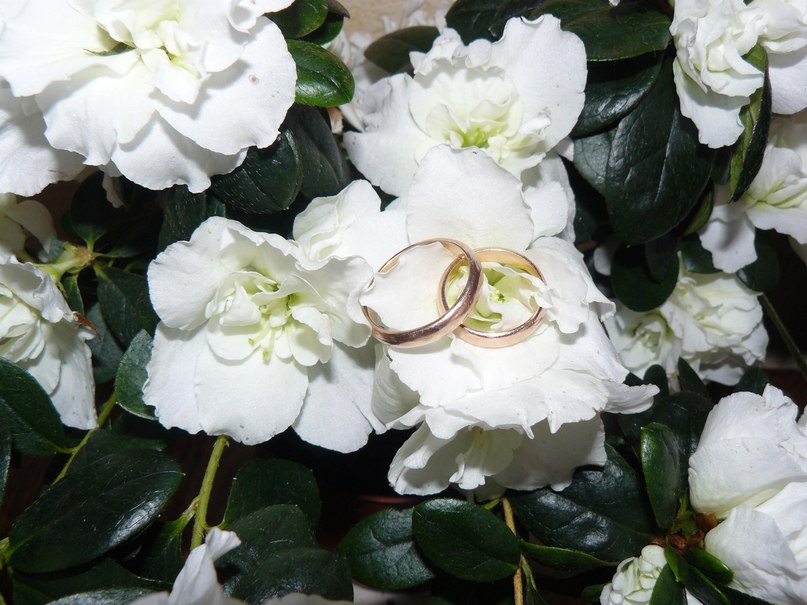 Регина Гильфанова | Уфа