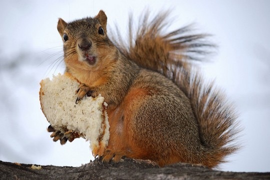 №26, Ярослав Харченко, Киев №26, Ярослав Харченко, Киев