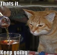 Алан Сланов | Киев