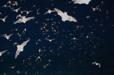 №4, Yulianna Aleksandrova №4, Yulianna Aleksandrova