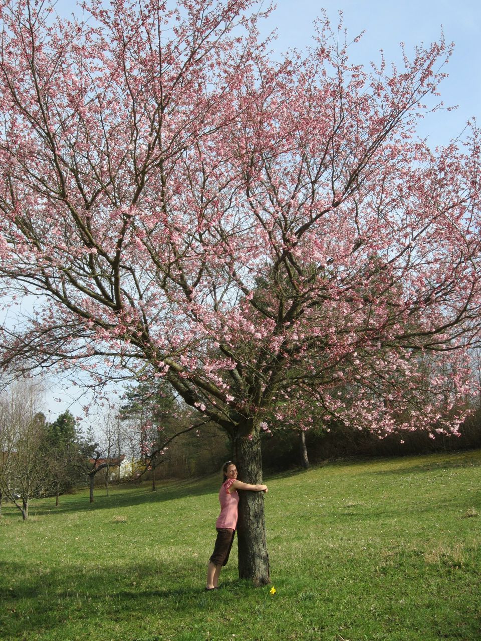 Dorothea Jaeger | Калининград