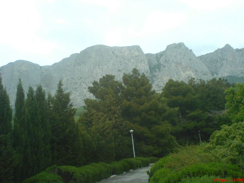 Vasia Pavlenko | Киев