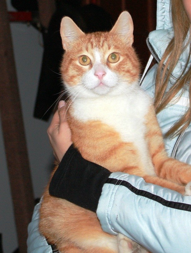 Анна Михайловская | Калининград