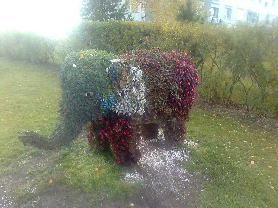 Sasha Fedorov | Сургут