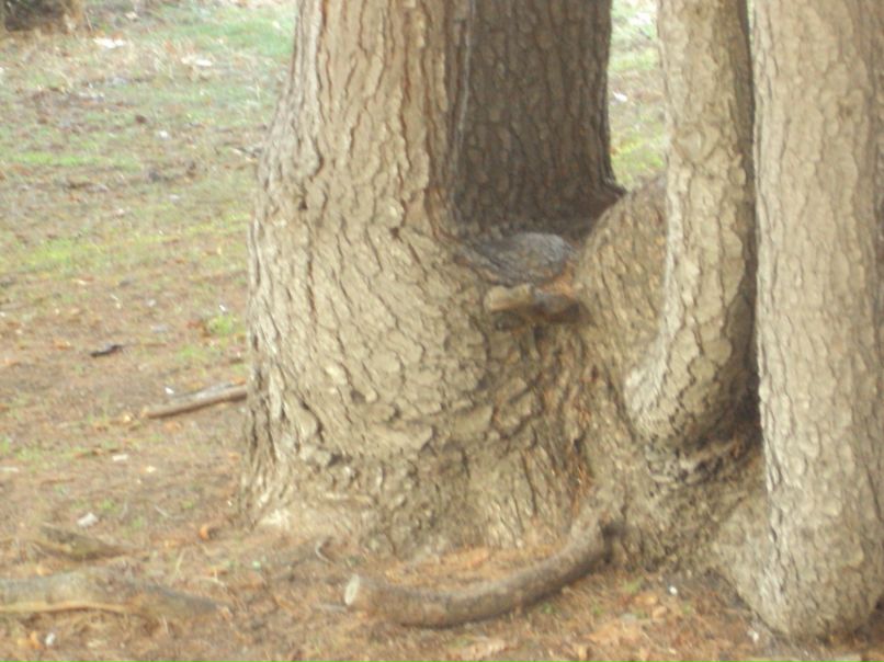 Tanya Negenko | Ялта