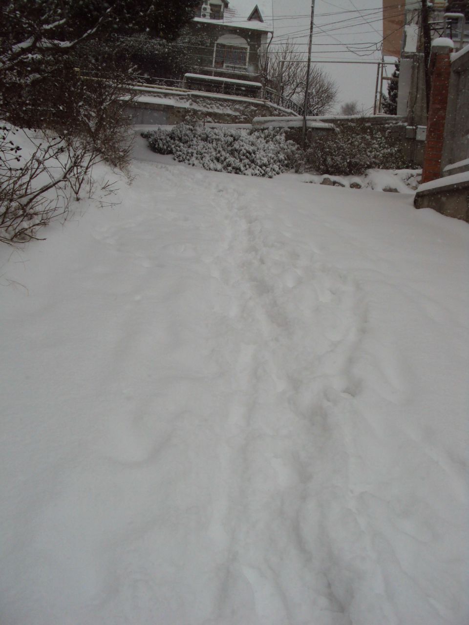 Tanya Negenko | Ялта