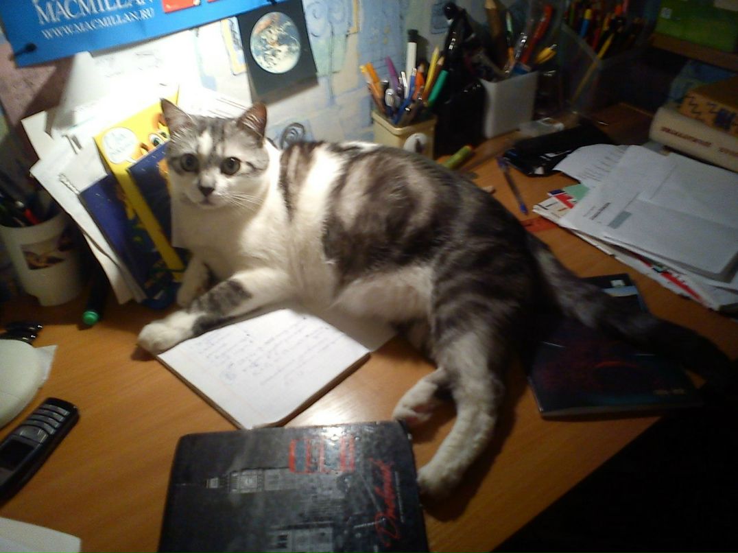 Татьяна Королькова | Санкт-Петербург