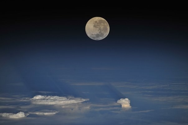 Мария Бах | Пермь