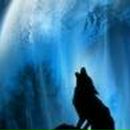 Алан Бекетов | Владикавказ