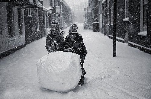 №50, Дария Пушистая, Могилёв №50, Дария Пушистая, Могилёв