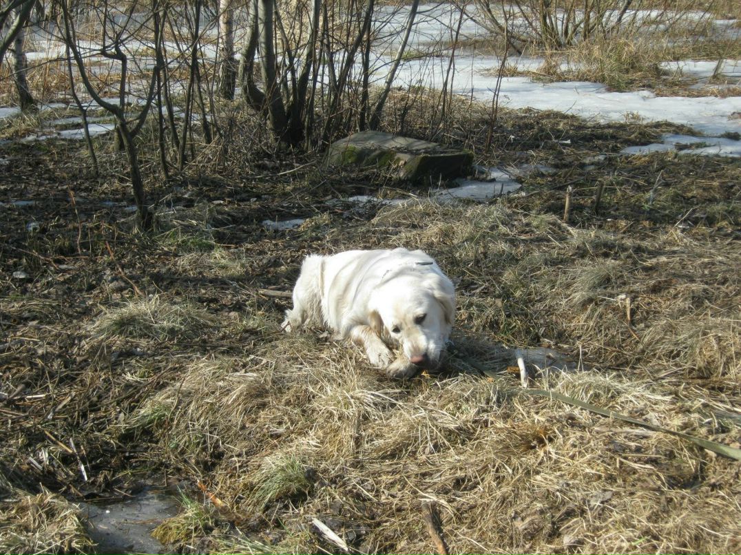 Елена Острова | Санкт-Петербург