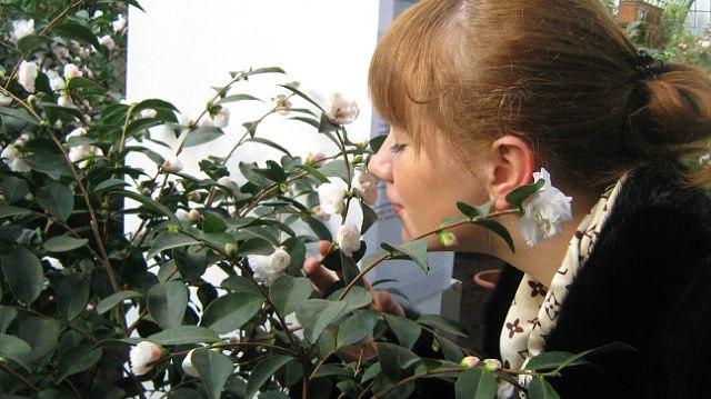 Liliya Stokhausen | 