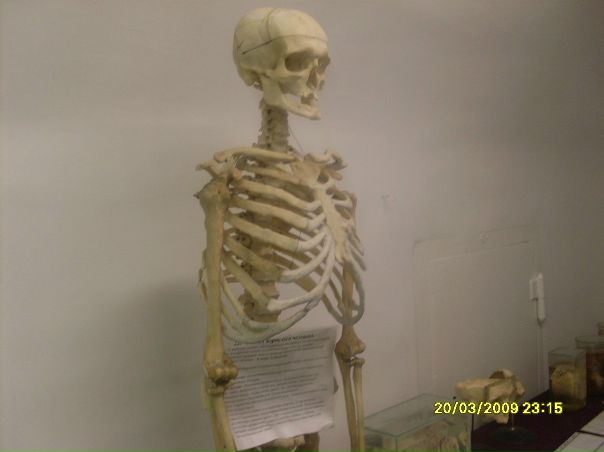 №69, Иван Ивасенко, 19.4.1984 №69, Иван Ивасенко, 19.4.1984