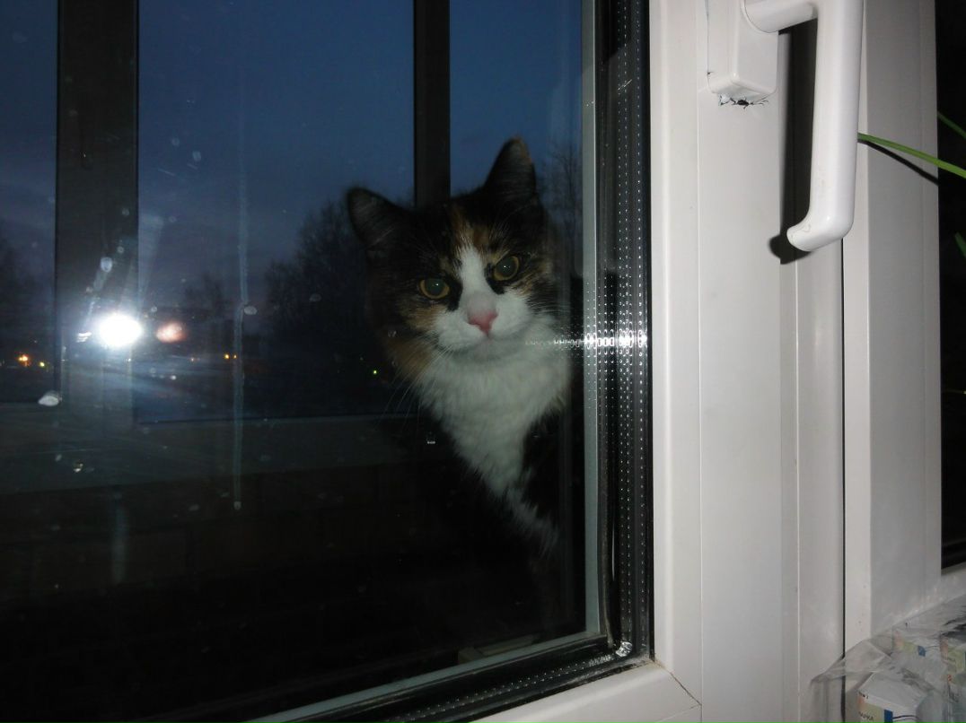 Вероника Высоцкая | Пермь