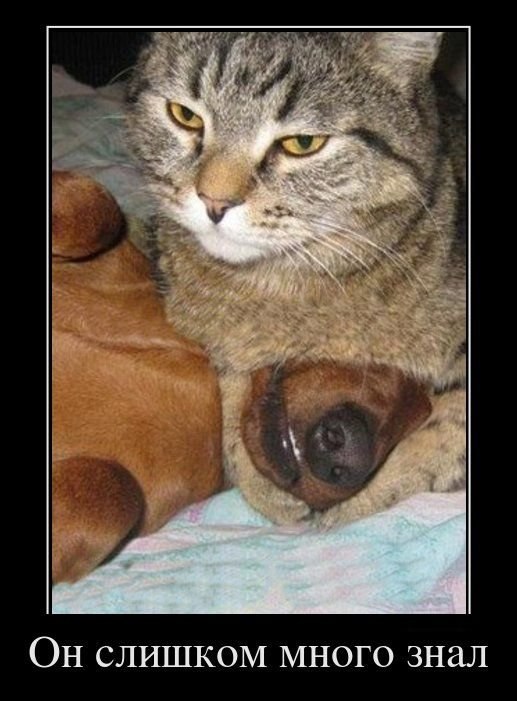 Никита Шавергин | Калуга