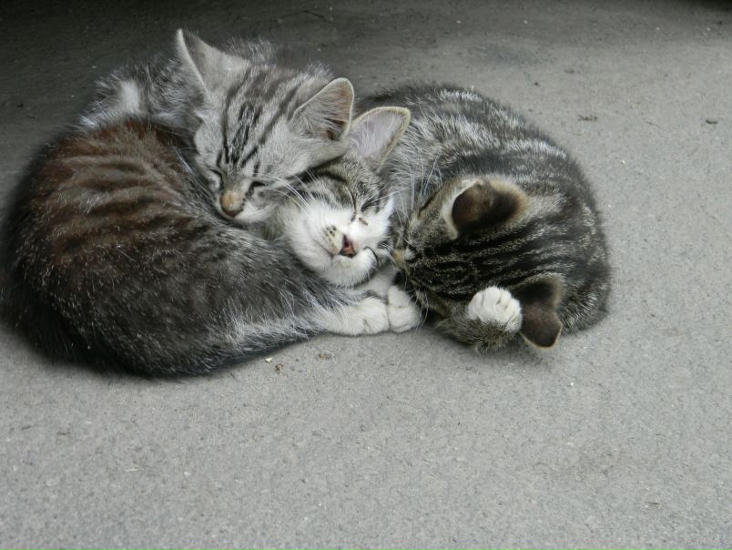 №105, Кирилл Никулин, Кириши, Россия №105, Кирилл Никулин, Кириши, Россия