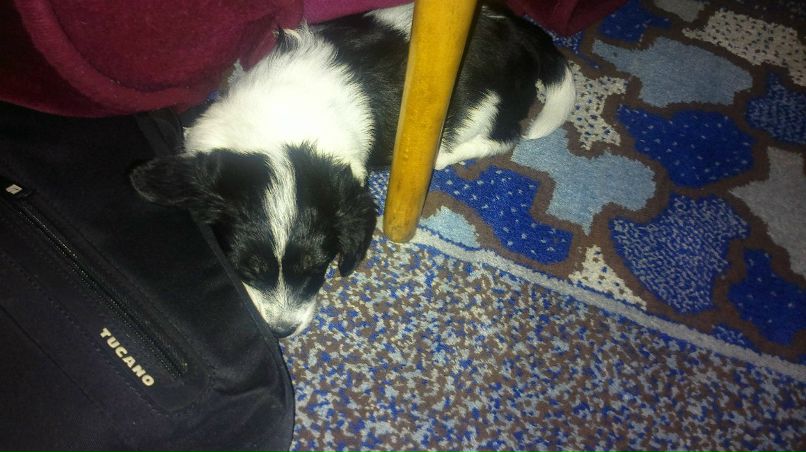 Александр Воробьев | Екатеринбург